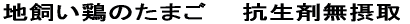 �n�����{